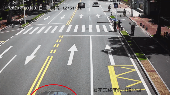 明天|最强执法又来了！明天交警集全队之力，全天候重点整治5种违法行为！