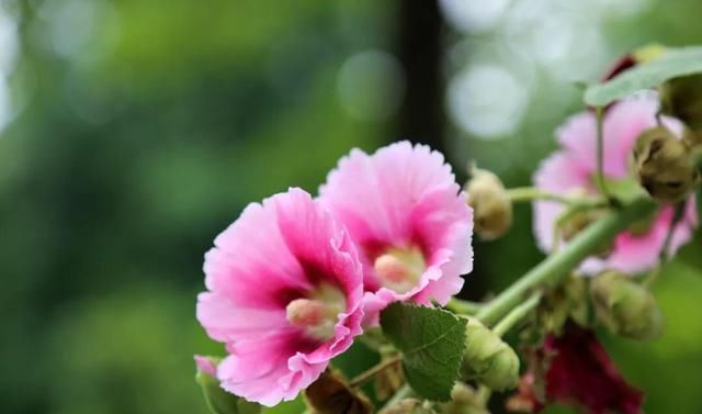  理智|人生感悟：越是在这三件事上“绝情”的人，越有福气