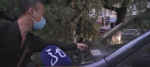  郭平宇|一场疾风暴雨，大树倾倒，树下货车被砸了！