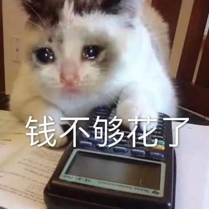  朋友圈|可爱的沙雕朋友圈文案150.0