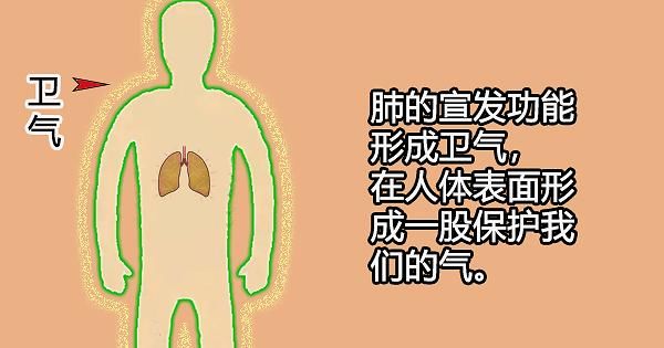 中医|大白话说中医第六十七期|同病异病看整体，健脾养胃生元气