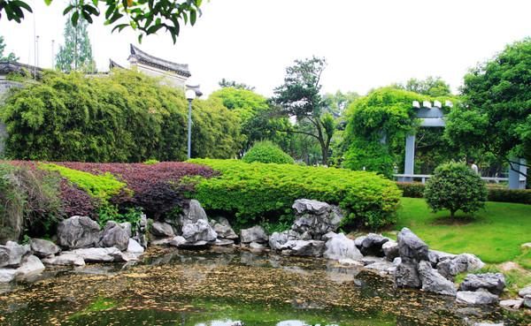  宁波|宁波月湖公园，半城名胜半城湖