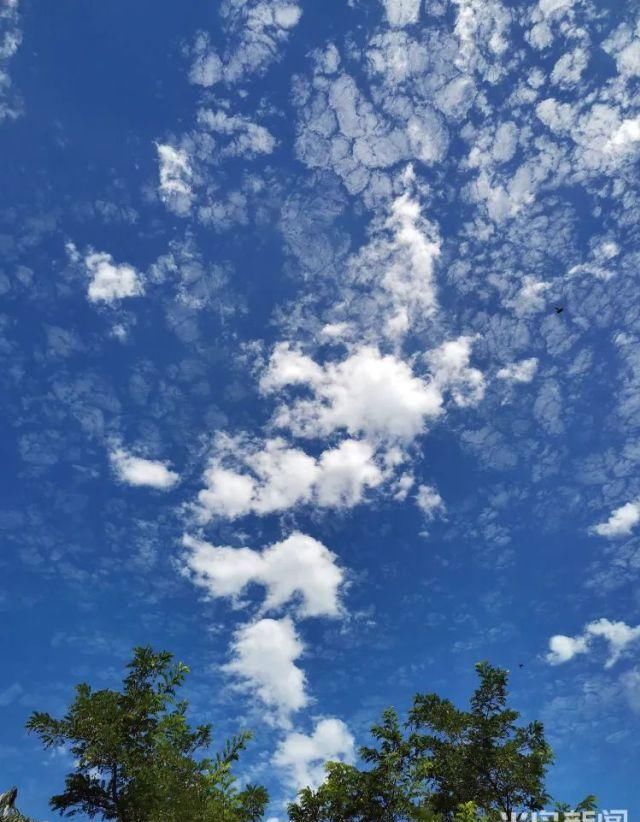 青岛|好好珍惜今天的“青岛蓝”吧，过几天雨又要来了！