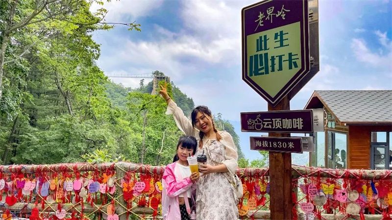 河南南阳老界岭旅游攻略(行走河南·读懂中国丨南阳老界岭：避暑养生 畅享清凉)