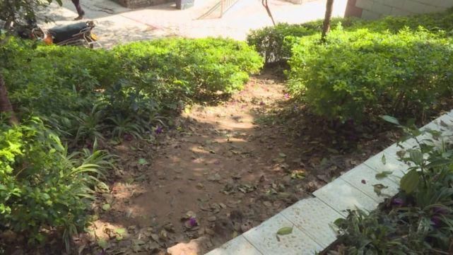 文明|景东县“美丽县城”建设不文明行为曝光！！！