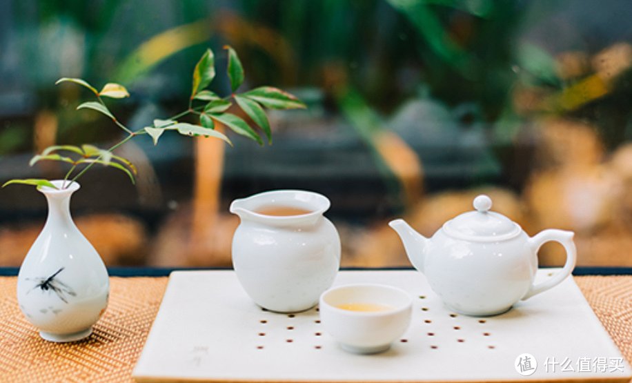 天天说养生--其中的单方茶、复方茶是何方神圣？2023