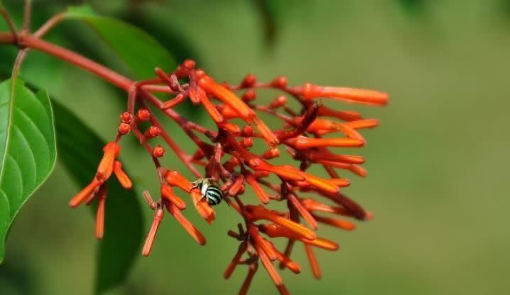  四大|8月开始财运最旺，脚踏祥云，事业大顺，福星高照的四大生肖
