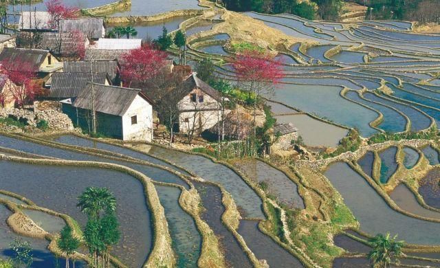生长|云之南，一个生生不息、万物生长的地方