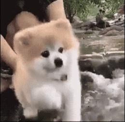  伸出|好险！岸边涵洞伸出一只小手...