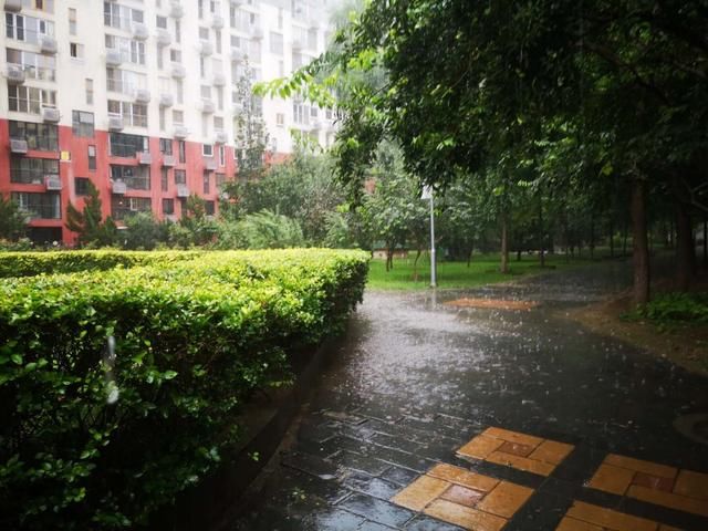 雨太|北京这场雨太分散！朝阳、海淀、东城大雨如注，通州、丰台滴雨未落