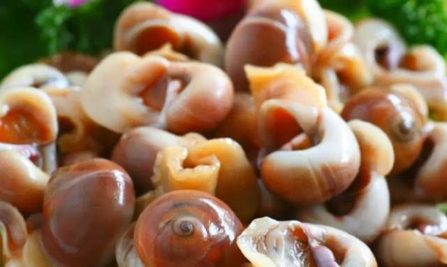 今日|今日开海!这84种海鲜,你都认识吗?你真的会吃海鲜吗?