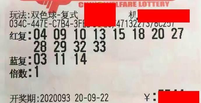 精心|20093期双色球晒票，号码精心抉择，这次信心大增