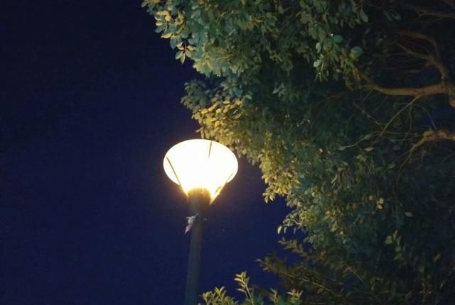 已婚|农村里的这种职业只有已婚女子做,以前很吃香,现在已没有人做了