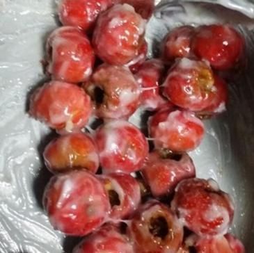 可口|山楂加冰糖,教你在家自制“糖雪球”,5分钟学会,山楂酸甜可口
