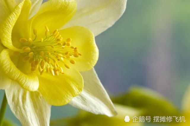  生肖|七月开始：财运如火如荼，处处遇贵人，来喜又来财的生肖