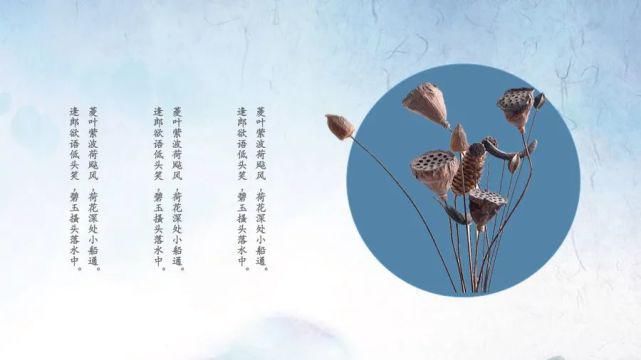  淡雅|淡雅荷花中国文化传统国学PPT模板