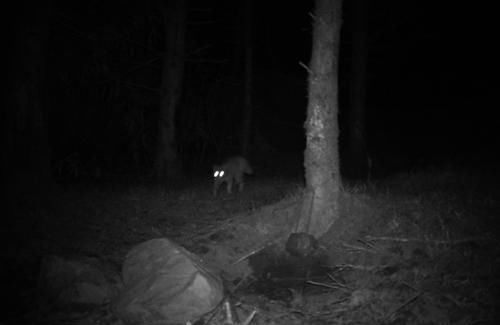  台前|科技人走到台前的新方式：外滩大会百万招募技术大牛