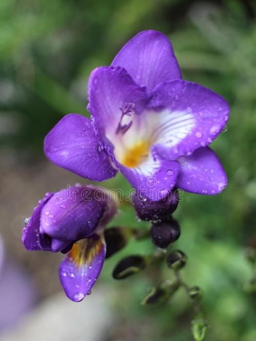 励志|优美的励志句子给人力量