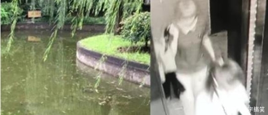  翻遍|女子失踪过半月，其嫂否认夫妻关系恶劣，警方翻遍周边洗衣机冰箱