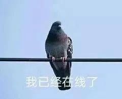 最全|王者荣耀系列表情包（全网最全合集）