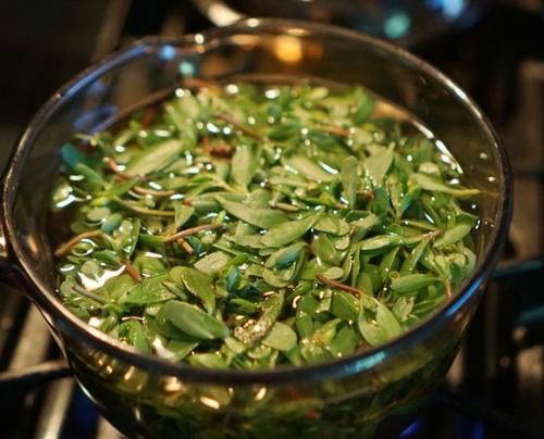  慢跑|很多人把当杂草，却是清肠菜，一盘抵得上慢跑一小时，体重嗖嗖2位数