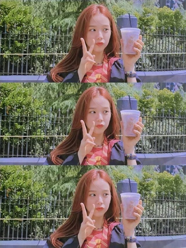 jisoo|『粉丝专属园』明星专辑|jisoo手机壁纸