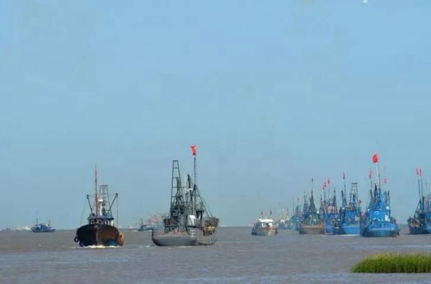 日子|开海喽,甩开膀子吃海鲜的日子来了!这样吃海鲜最安全!