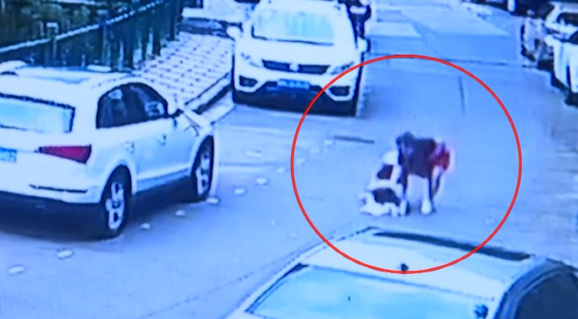  中招|警惕！已到高发季！有医院一天接诊119人，广东也有人中招