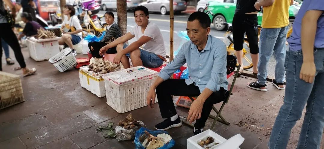  斗鸡|就问你晓得仁寿“斗鸡公”不？