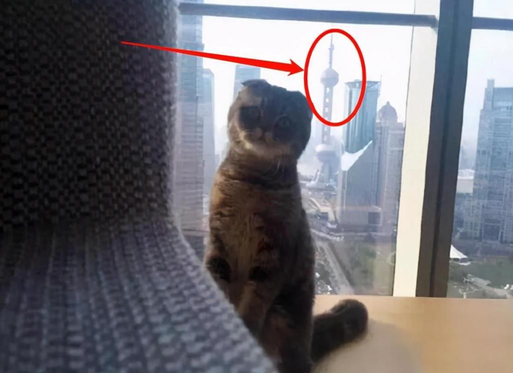  窗外|黄晓明夫妻4亿豪宅，落地窗当电视墙，窗外就是上海地标建筑