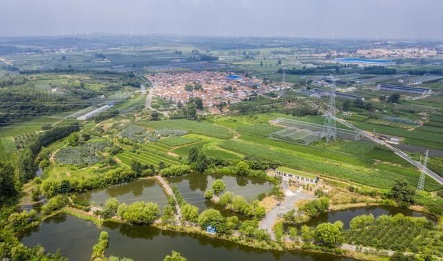  山镇|藏在宝山镇的美丽花园，不仅大丽花花开迷人眼，更有牡丹玉笑珠香