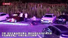 手包|报应!男子悄悄将包踢到车底,随即盗窃得手,没想到第二天…