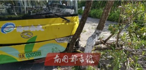 海甸岛|突发！海甸岛一公交接连撞倒路牌和两棵树，还有一辆轿车…