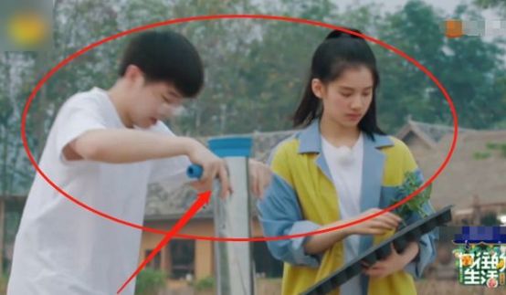 张子枫|《向往4》被怀疑作秀？镜头扫过张子枫，是不是真干活一目了然
