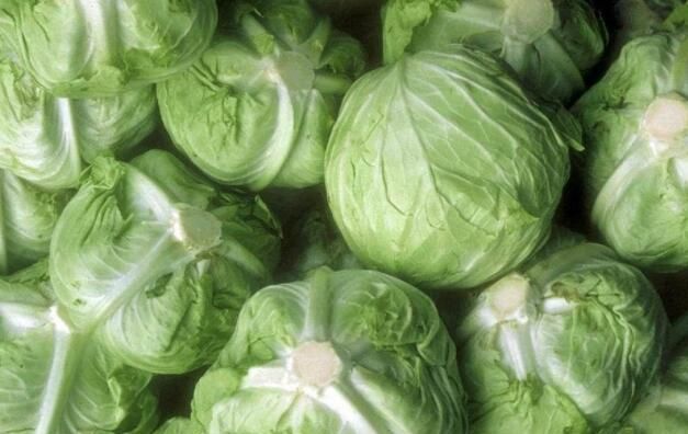  包菜中含|吃包菜后一小时以内，切记别碰2种食物，很多人都不清楚