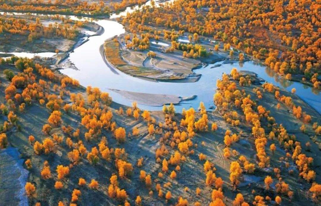 历史|秦始皇陵发现单体金骆驼,那时中原没有骆驼,是新疆人“送”来的