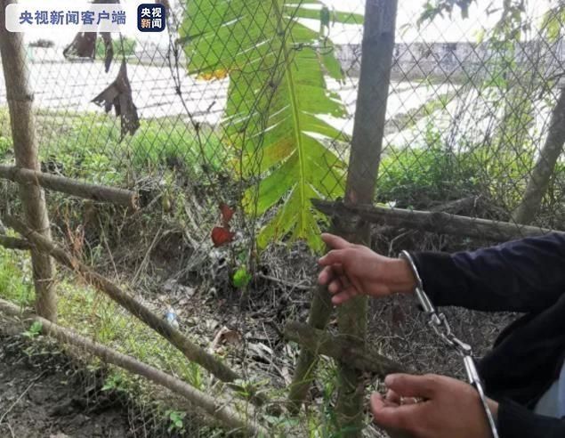 非法出境|瑞丽1人顶风作案被抓获:运送他人偷越国边境