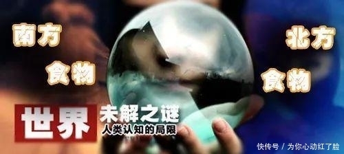 南方人|南方人说: 北方的食物, 是世界上最大的骗子! ?