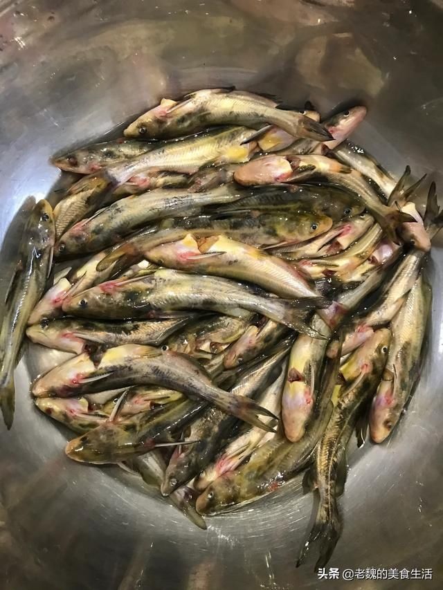 细嫩|酱焖嘎牙子，肉质细嫩，味道浓郁鲜香，做法简单，只需几分钟。