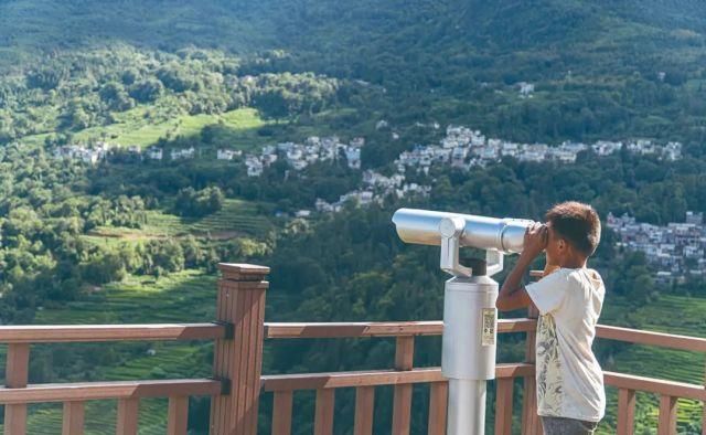 生长|云之南，一个生生不息、万物生长的地方