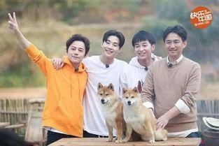 生活|《向往的生活》收官,“心火烧”跟“太空弹”,哈哈哈哈太魔性了