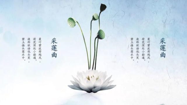  淡雅|淡雅荷花中国文化传统国学PPT模板