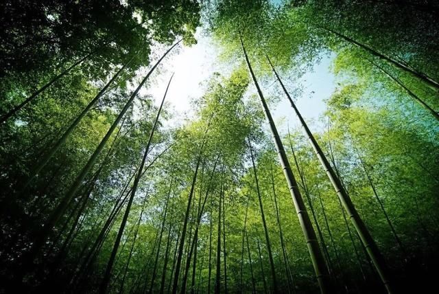  宝石山|0.5个亭子长啥样？这个夏天，西湖边这些地方不去会遗憾！