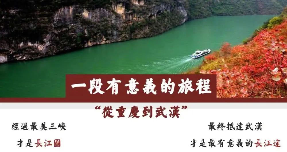  张亮和林述|《中餐厅4》张亮林述巍都在节目形式大改，呼声最高的嘉宾是她