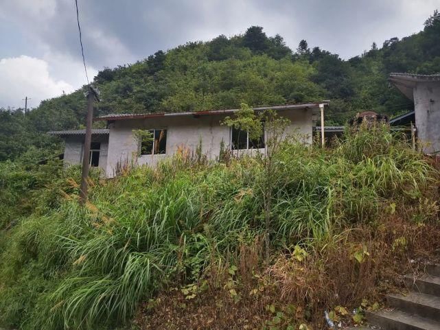 村民|浙江一家三口惨遭灭门，22年前的这起命案终于破了！凶手竟是…