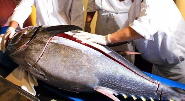 放狠话|世上最贵的5种海鲜，渔民放狠话：只要遇到一条，我就退休不干了