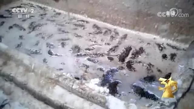  神车|315曝8大黑料:汉堡王用过期面包,五菱神车要人命,万科精装房漏水