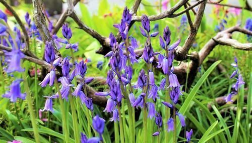 励志|经典走心的励志句子,为了与阳光同行,我笑对忧伤