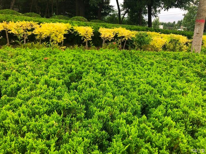  RAV4|初心不改，一眼万年，RAV4荣放提车半年使用有感