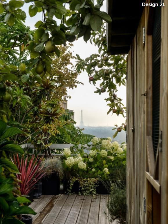  鸟声|闲时赏花落，醉闻林鸟声：这35个绝美的户外空间打动你了吗？